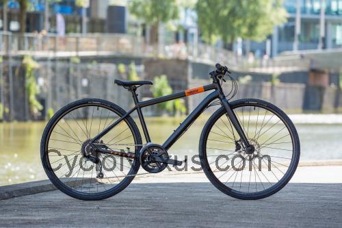 Voodoo Marasa recensioni e scheda tecnica